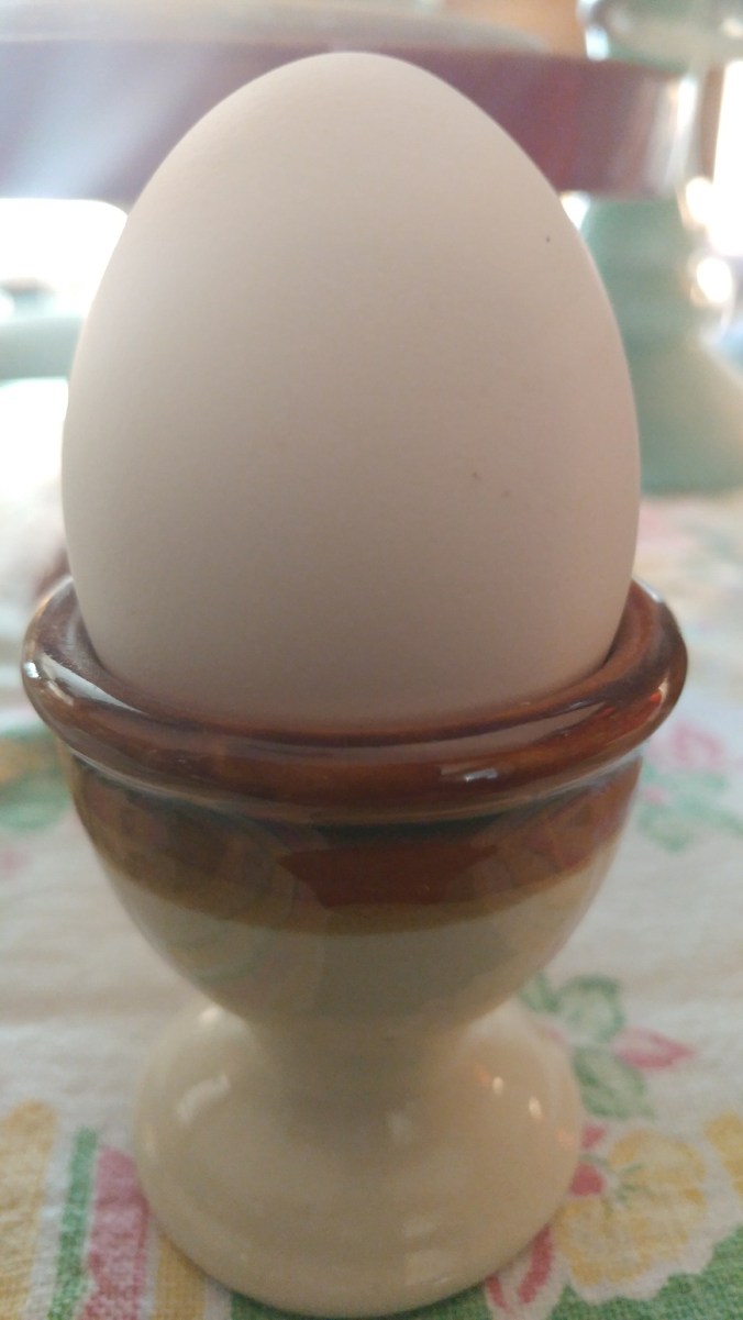 image_542400745920051